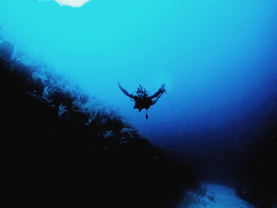 Alix Barry poses for an underwater photo while diving in Belize, where she spent a summer working for the Belize Conservatory. Photo by Jessie Kaull and art by Estelle Martin